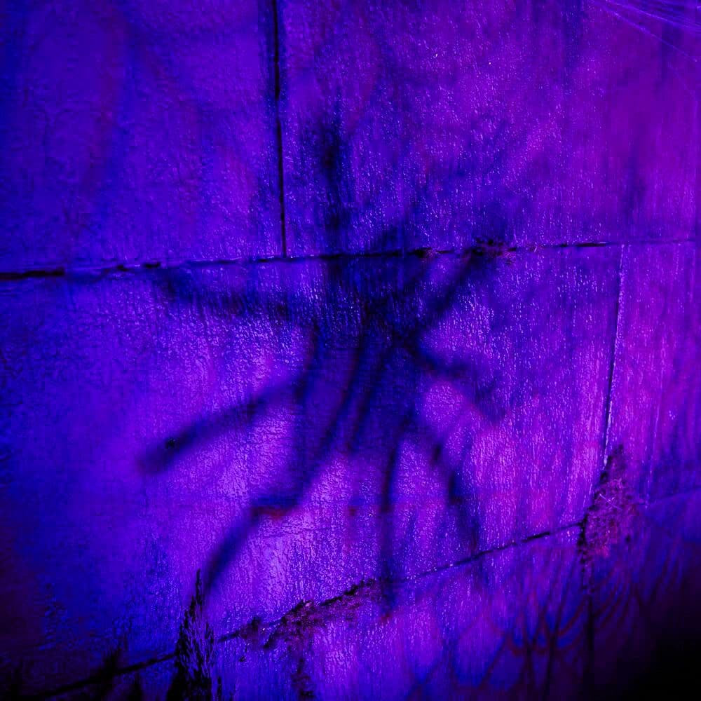 LED Spider Illusion Projector